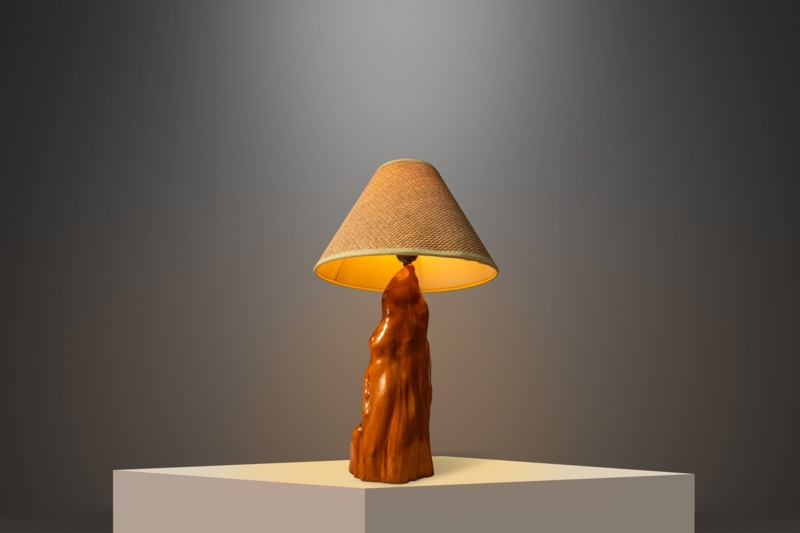 Table Lamp Organic Sculptural Lamp, Gnarled Wood Base and Tall Shade
