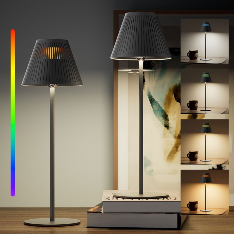 Table Lamp Set Minimalist Matte Black Cordless Operation Disc Head