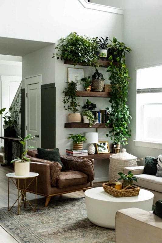 Wood Wall Shelf on Charcoal: Trailing Greenery Plant Display