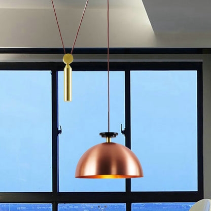 Adjustable Pendant Lamp Pulley Mechanism Clear Glass Dome Industrial
