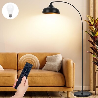 Arch Floor Lamp, Drum Shade Over-Sofa Reach Matte Finish