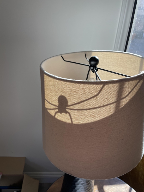 Drum Lampshade White Translucent Fabric Spider Shadow Dramatic Effect
