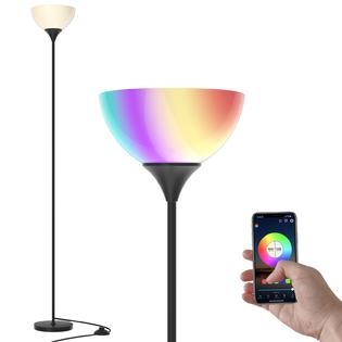 Floor Lamp Corner Placement RGB Matte Black Contemporary