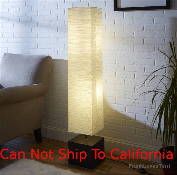 Floor Lamp Rice Paper Shade Crinkled Texture Dark Wood Zen Column