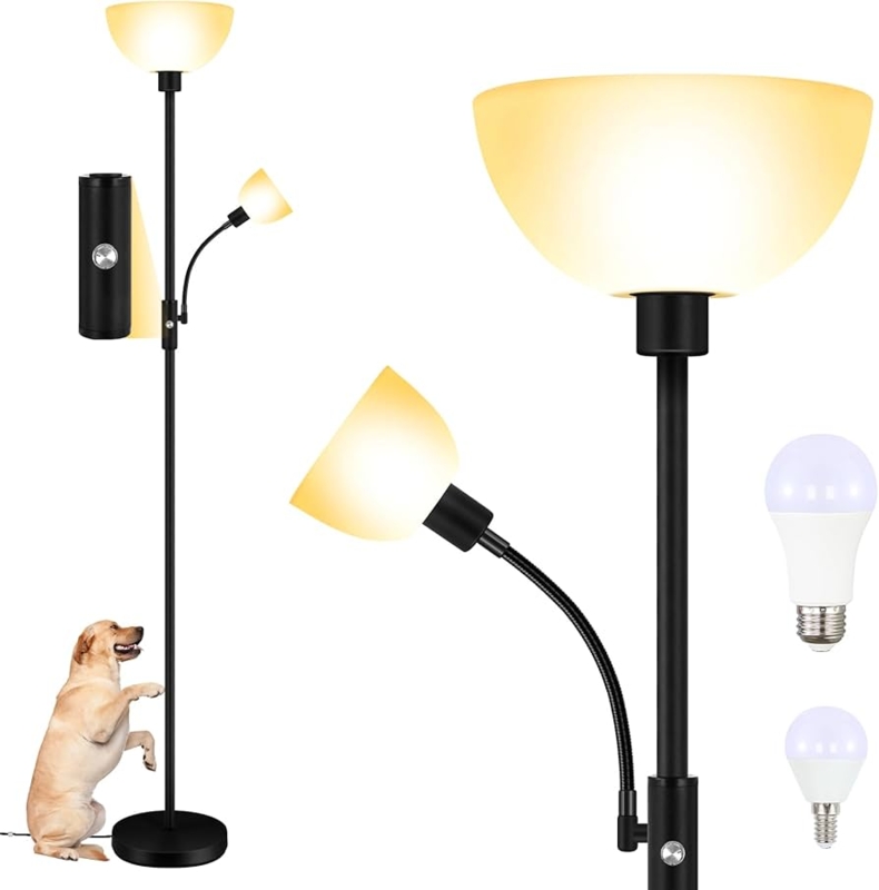 Minimalist Dual Bulb Lamp Flexible Reading Arm Black Metal Finish