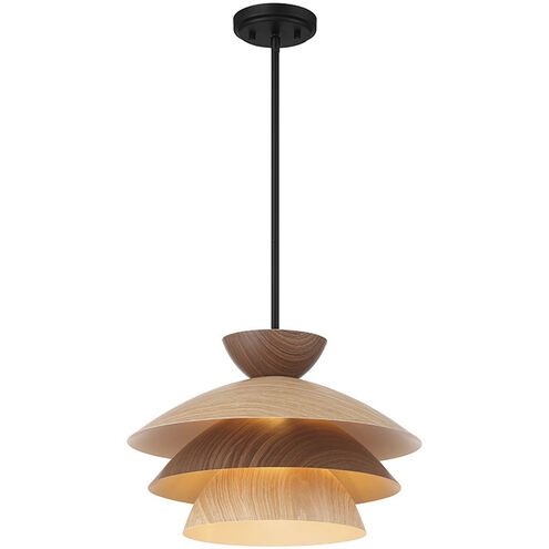 Pendant Light Geometric Silhouette Matte Black Open Ring Frame