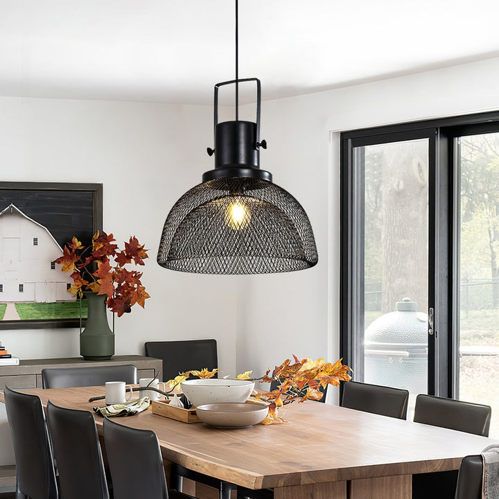 Pendant Light Iron Grid Birdcage Matte Black Frosted Glass Insert
