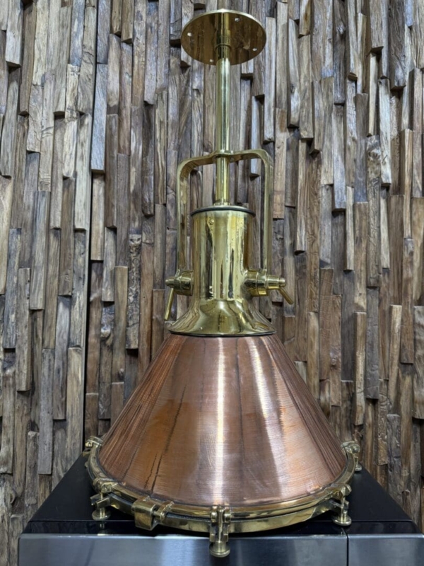 Pendant Light Weathered Antique Bronze Cage Large Glass Bulb