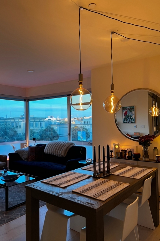 Plug-in Pendant Light Brushed Nickel Socket Exposed Bulb Minimalist