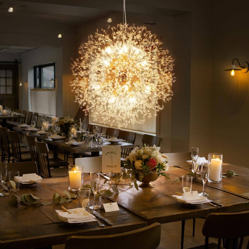 Sphere Chandelier Starburst Design Crystal Accents Radial (66 characters)