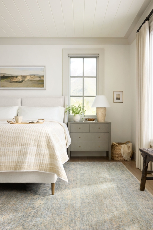 Area Rug in Distressed Muted Blue and Cream under Paneled Ceiling.