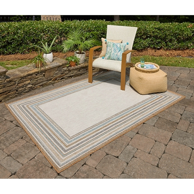 Area Rug with Contrasting Border Gray, Minimalist Neutral Outdoor Rug