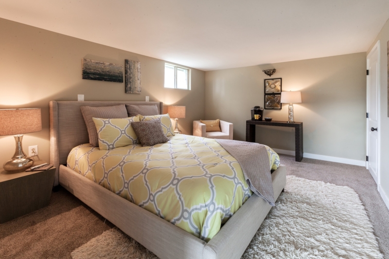 Basement Bedroom with Ogee Pattern Bedding and Shag Area Rug