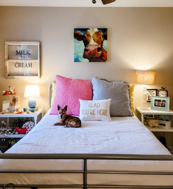 Bed in Farmhouse Bedroom with Cow Art and Mismatched Nightstand Styling