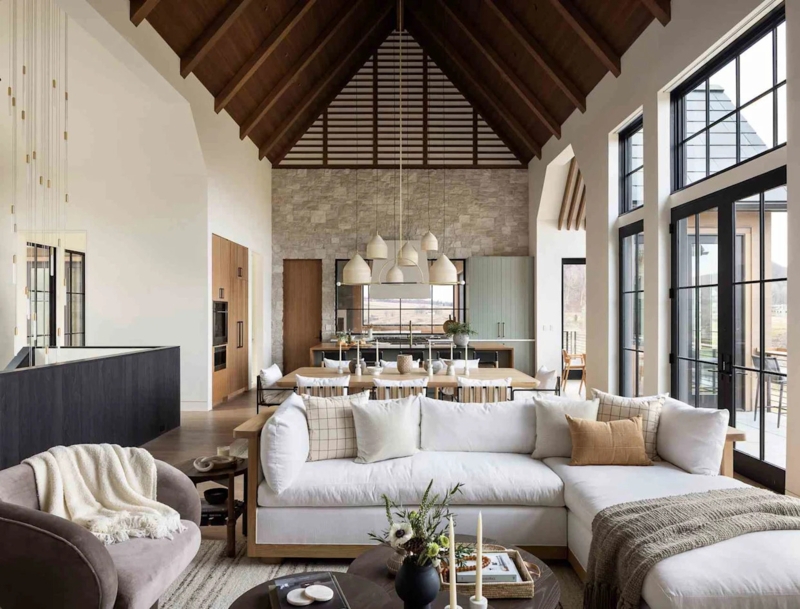 Black Framed Windows Vaulted Ceiling Living Room