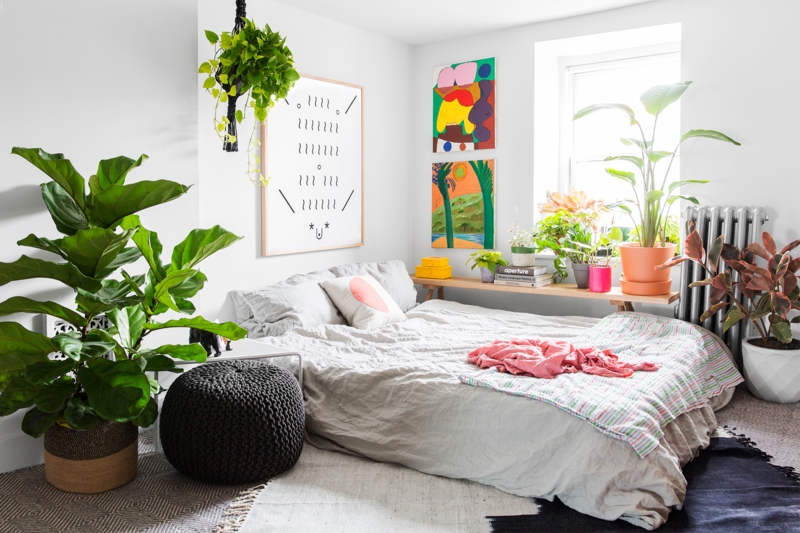 Bohemian Bedroom Floor Level Bed Indoor Greenery Colorful Abstract Art
