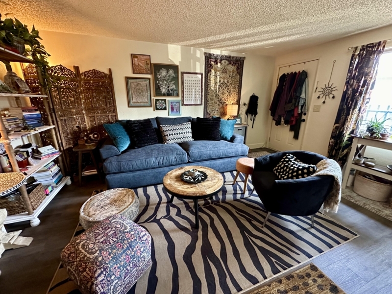 Bohemian Navy Sofa with Zebra Print Rug and Carved Wood Screen
