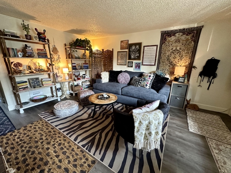 Bohemian Sofa with Mixed Animal Prints and Gallery Wall