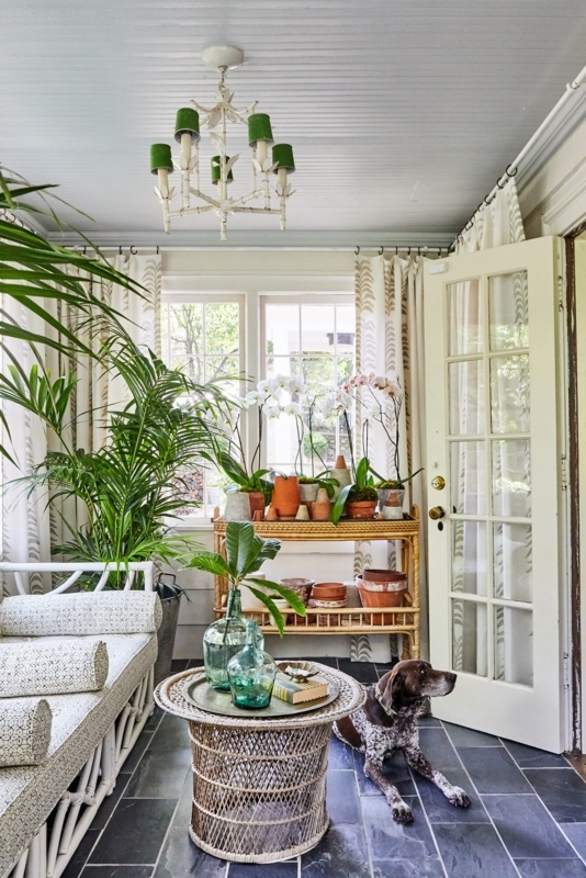 Botanical Sunroom Corner with Tiered Orchid Cart