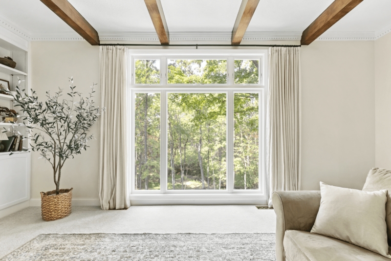 Living Room Window Ideas