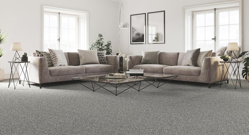 Contemporary Grey Carpet Flooring in Symmetrical Living Room Layout