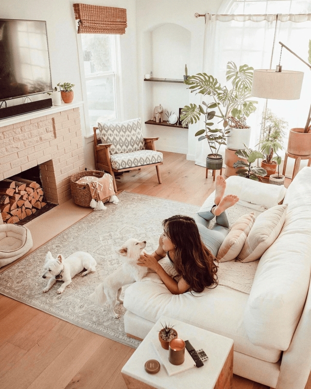 Distressed Medallion Area Rug for Neutral Bohemian Living Room Ideas.