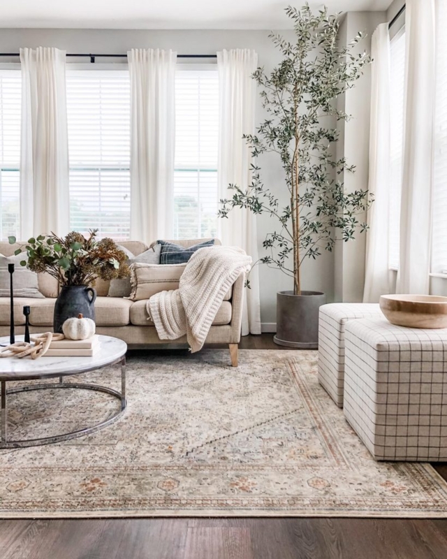 Distressed Traditional Area Rug in a Farmhouse Living Room Layout.