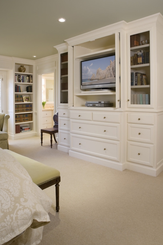 Entertainment Center with Wire Mesh Doors and Sage Green Ceiling Design