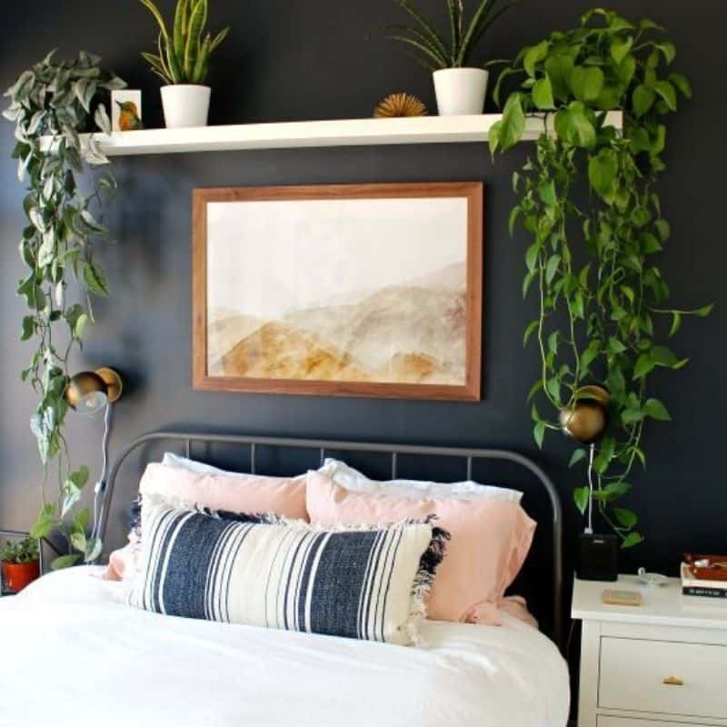 Floating Shelf & Trailing Plants in Boho Bedroom | Accent Wall