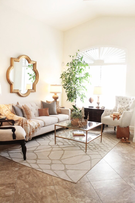 Geometric Pattern Area Rug and Transitional Living Room Decor Ideas.