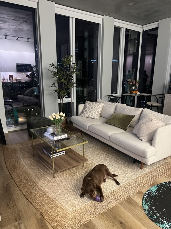 Living Room: Neutral Room with Jute Rug and Glass and Gold Coffee Table.