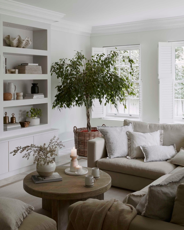Living Room Ideas