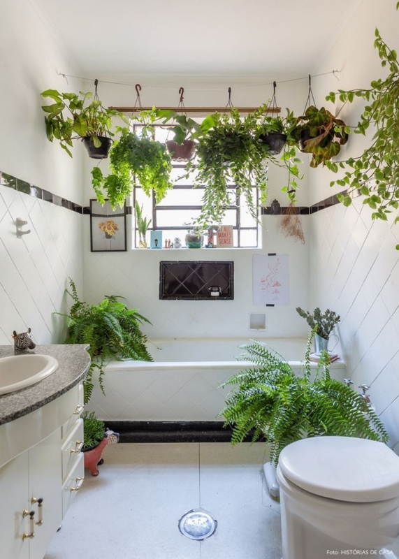 Lush Indoor Jungle Bathroom Plant Decor with Hanging Wire