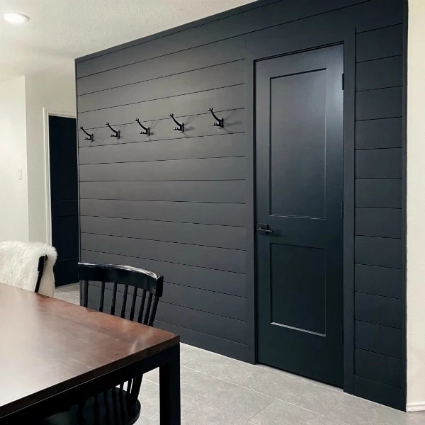 Matte Black Shiplap Wall with a Matching Door and Wall Hooks