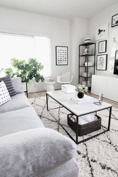 Minimalist Monochromatic Living Room Shaggy Trellis Rug Open Shelving