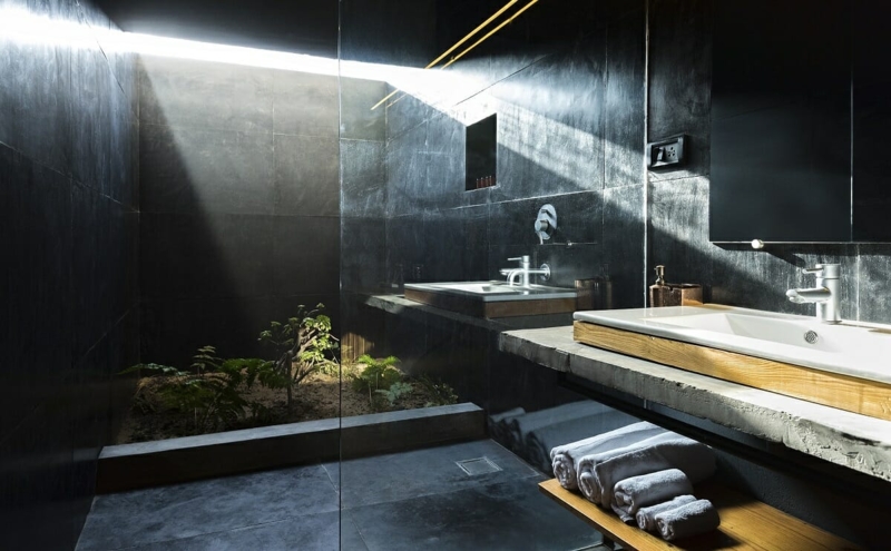 Moody Bathroom Design with Indoor Planter and Dramatic Skylight