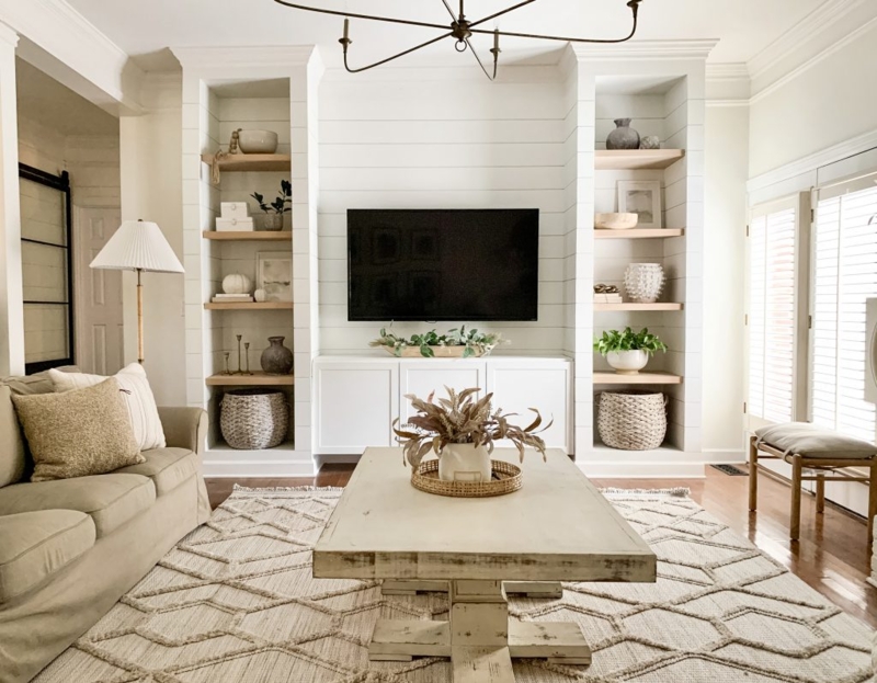 Neutral Living Room Shiplap Wall with Modern Farmhouse Decor and Rug