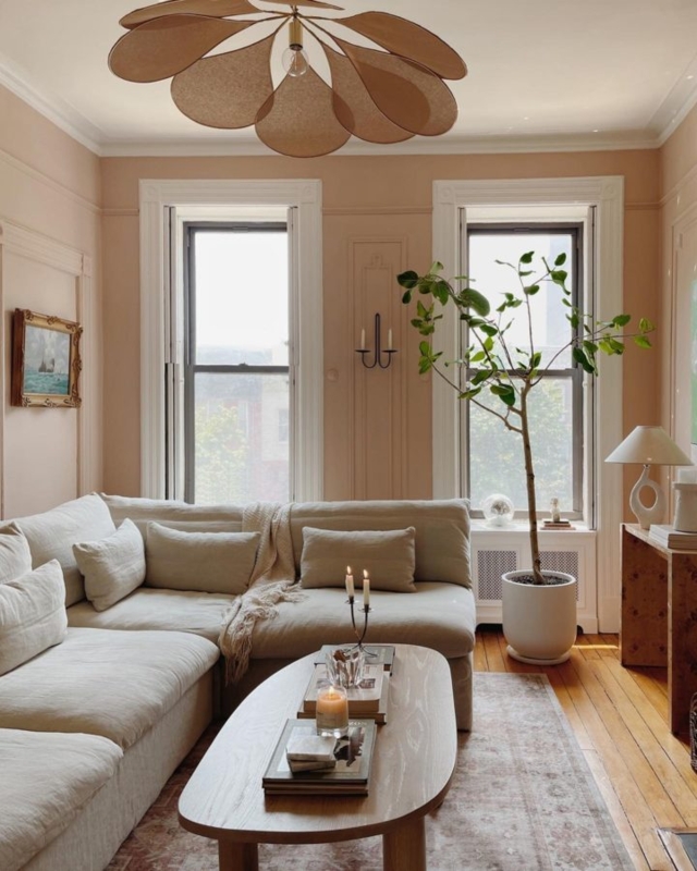 Organic Style Living Room with Peach Walls and Petal Pendant Light