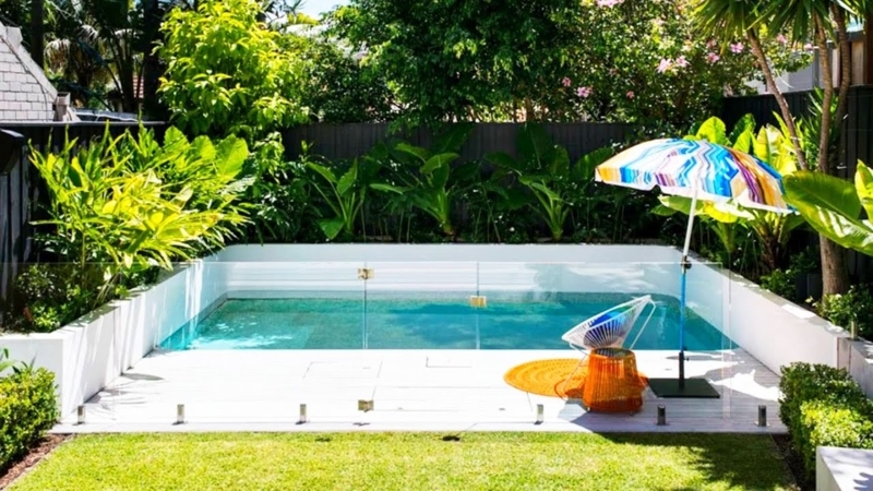 Plunge Pool with Frameless Glass Fence and Tropical Plants