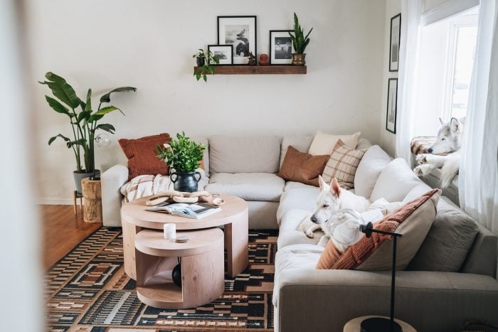 Rustic Bohemian Living Room with Tiered Wood Coffee Table and Tribal Rug
