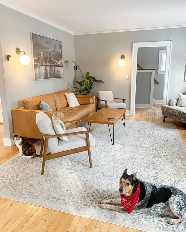 Tan Leather Sofa Styling Ideas in Mid-Century Modern Living Room Layout