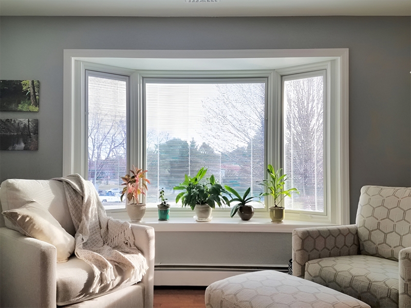 Transitional Living Room: Bay Window Plant Display and Geometric Chair