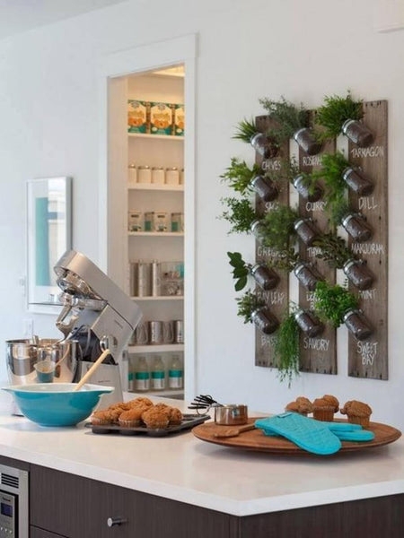 Wall Planter Vertical Herb Garden with Chalkboard Style Labels and Jars