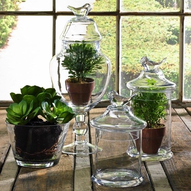 Antique Farmhouse Glass Decorative Jars with Bird Finials for Plant Display