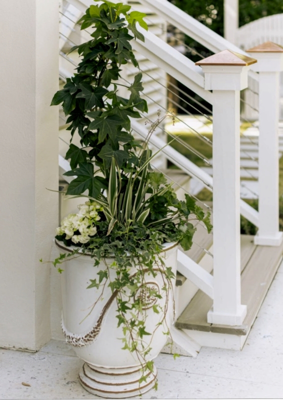Antique White Footed Urn Planter, Distressed Finish