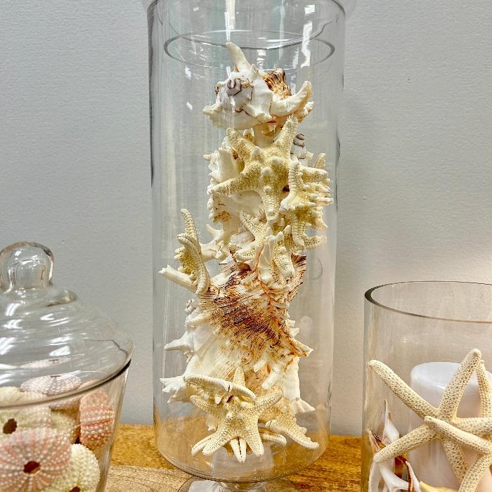 Apothecary Jar Coastal Starfish Display Glass Set
