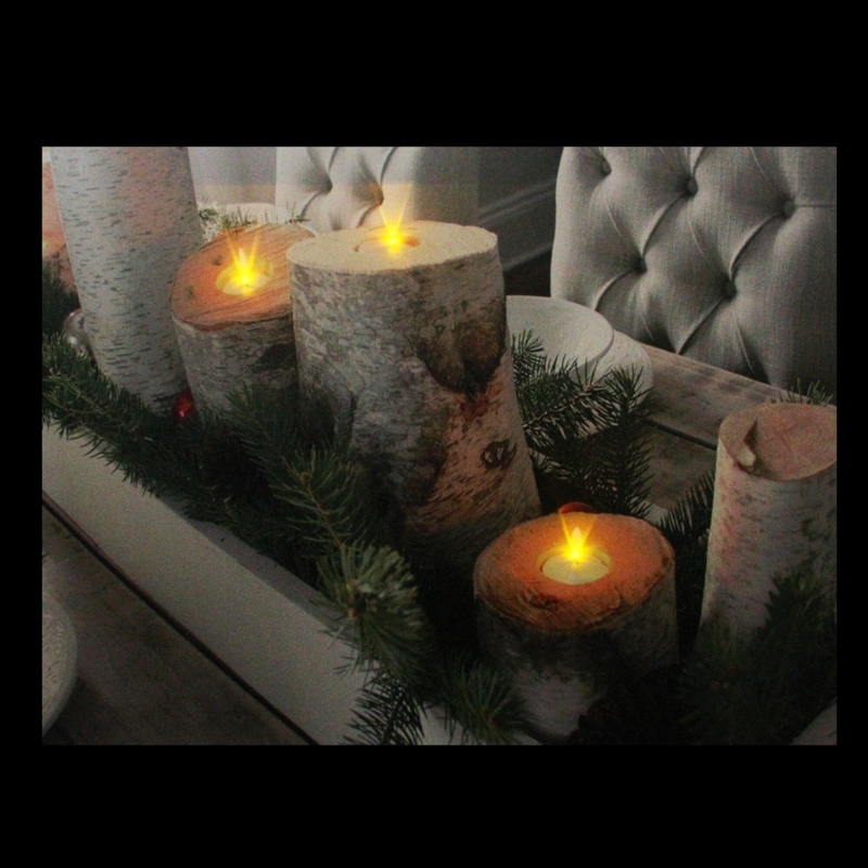 Birch Bark LED Candle Lights on Canvas with Evergreen Accents