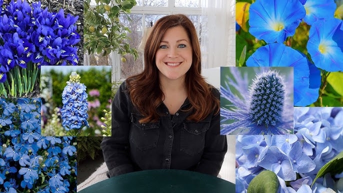 Botanical Collage Multi Image Layout Blue Flower Variety Garden Inspired