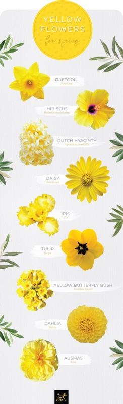 Botanical Collection Graphic with Labeled Varieties and Textures
