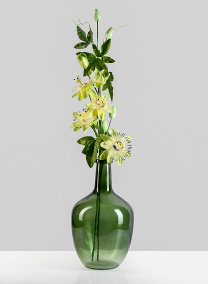 Bottle Vase: Minimalist Glass with Narrow Neck for Botanicals